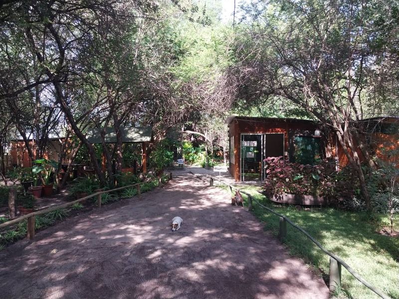 Amazing place in the Zambezi Region, Cabins and Campsite as a going concern! - Photo 3