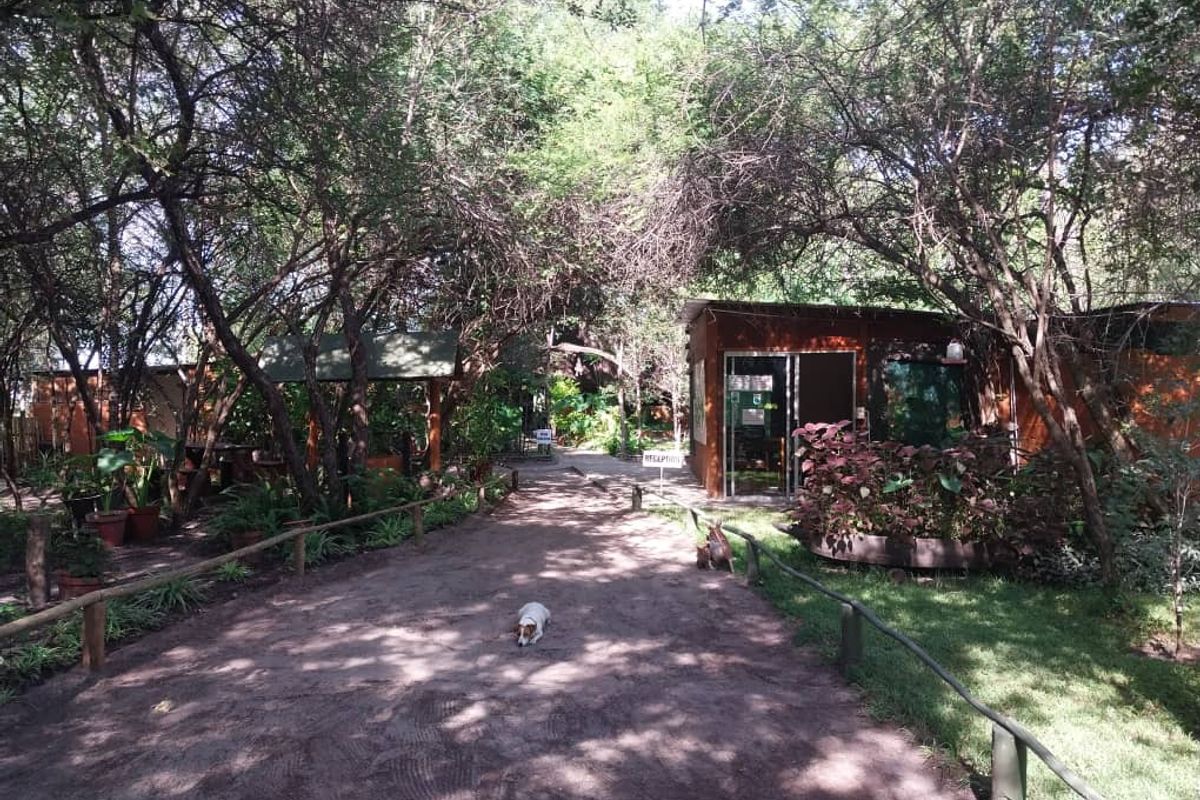 Amazing place in the Zambezi Region, Cabins and Campsite as a going concern! - Photo 3