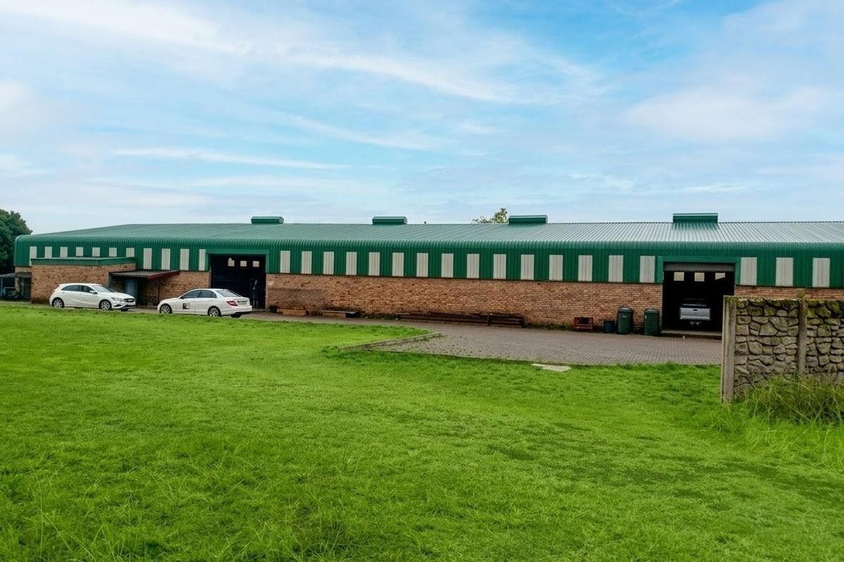 Rear view of a large commercial warehouse building featuring a brick exterior, corrugated metal roof, and an adjacent paved driveway area.