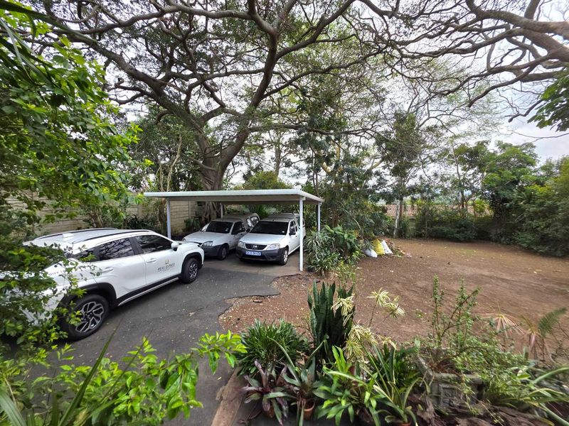 Old Style Beautiful 4 Bedroom Family Home - Photo 3