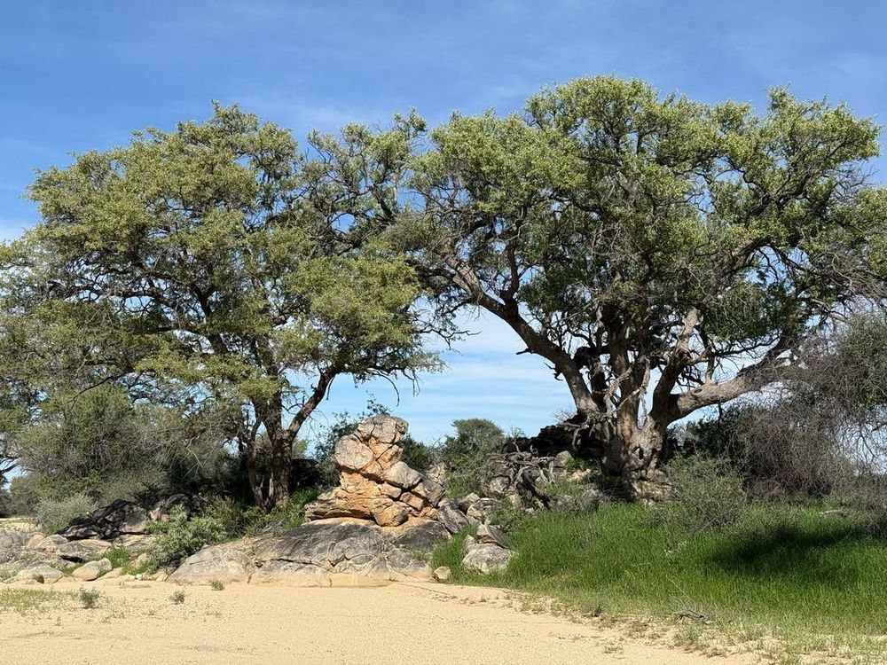 View of the field on the Farm