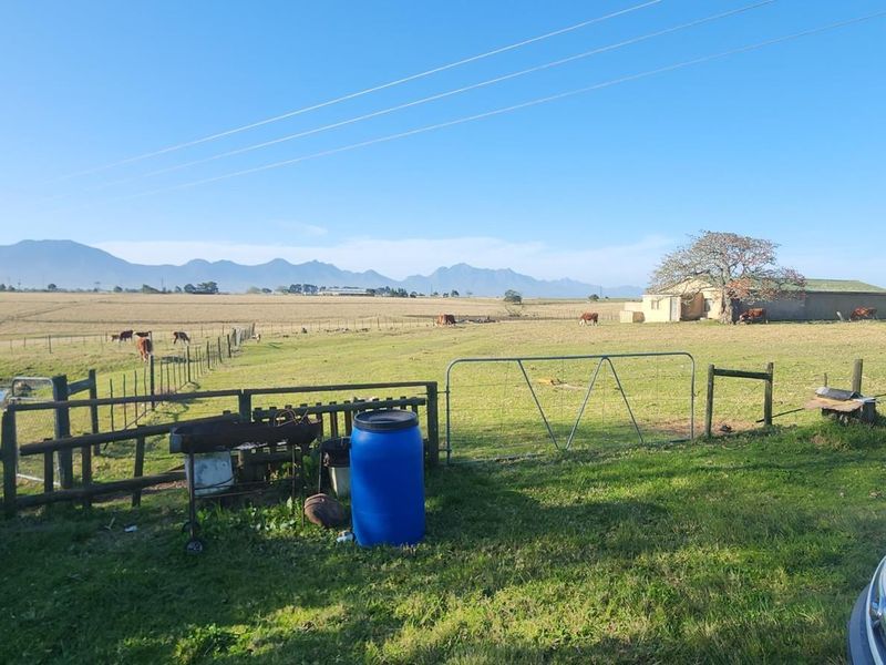 Farm For Sale In George Rural. - Photo 9