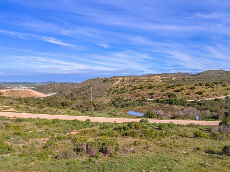 Brand-New 3-Bedroom Single-Storey Home | No Transfer Duty | Outeniquasbosch Wildlife Village - Photo 5