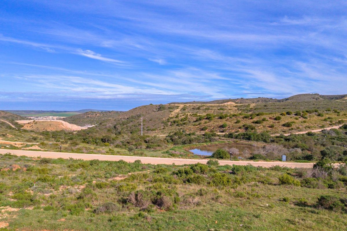 Brand-New 3-Bedroom Single-Storey Home | No Transfer Duty | Outeniquasbosch Wildlife Village - Photo 5