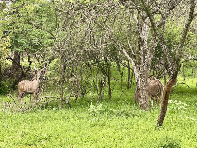 River Font Stand For Sale - Photo 5