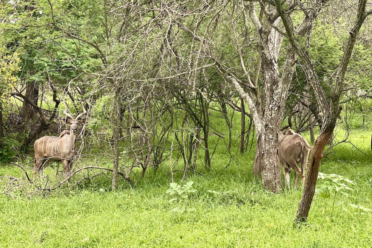 River Font Stand For Sale - Photo 5