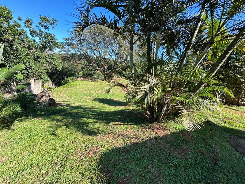 A spacious, sloped garden area featuring established palm trees and mature greenery, offering a natural outdoor setting for the property.