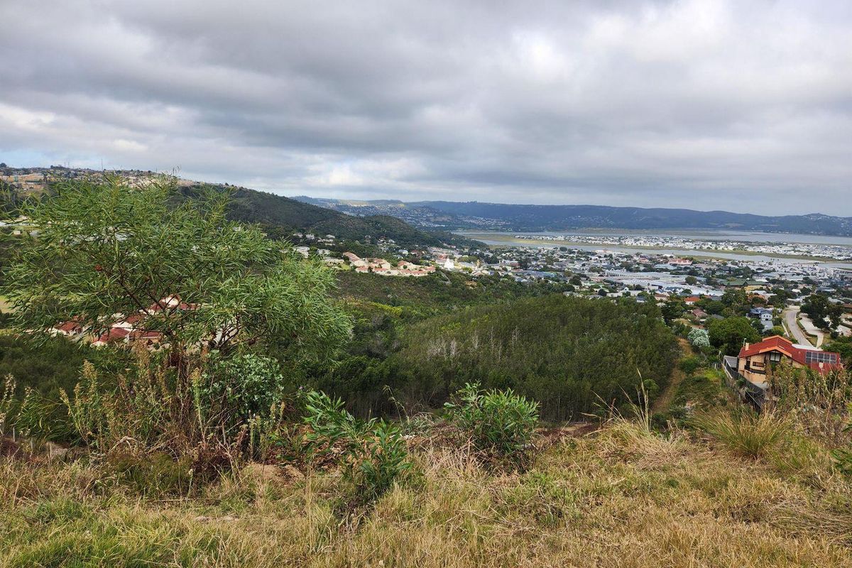 This fabulous land is a rare find - Photo 4