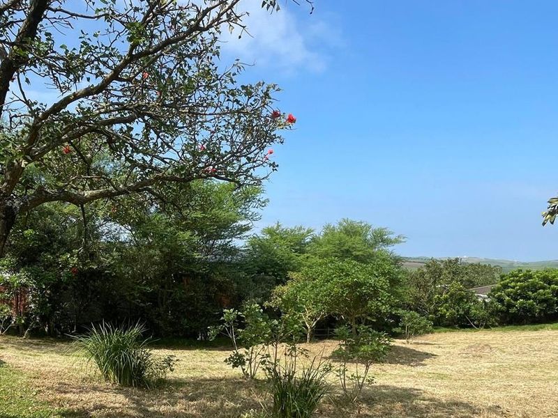 A view of a spacious, well-maintained residential plot featuring mature trees and established greenery under a clear blue sky.