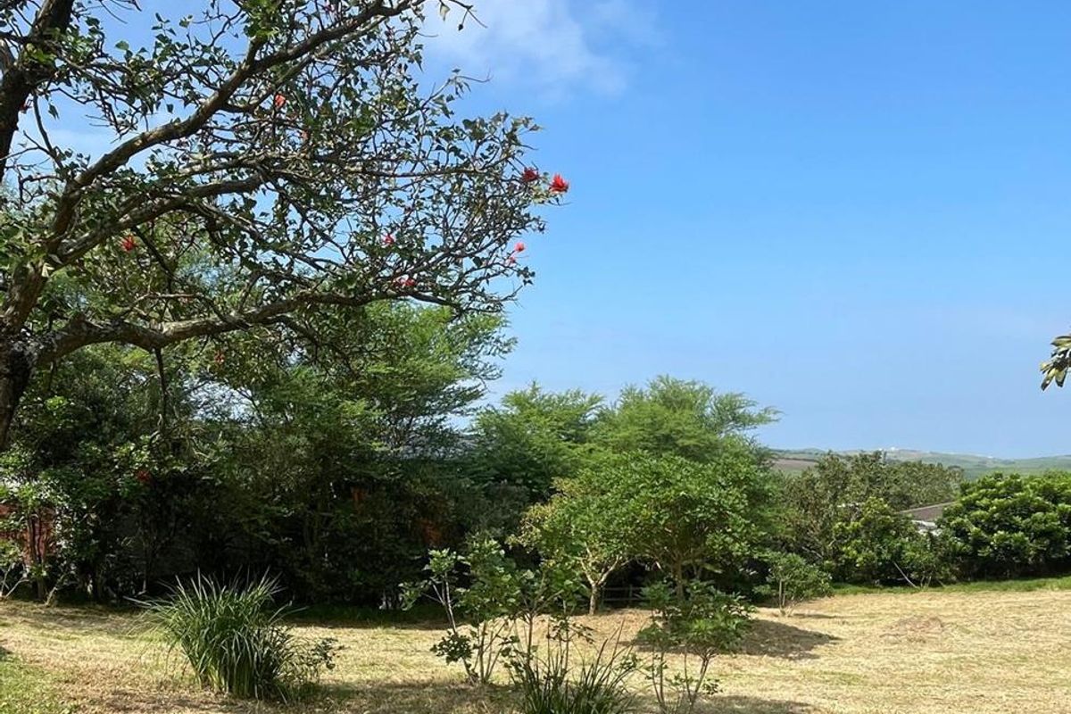 A view of a spacious, well-maintained residential plot featuring mature trees and established greenery under a clear blue sky.