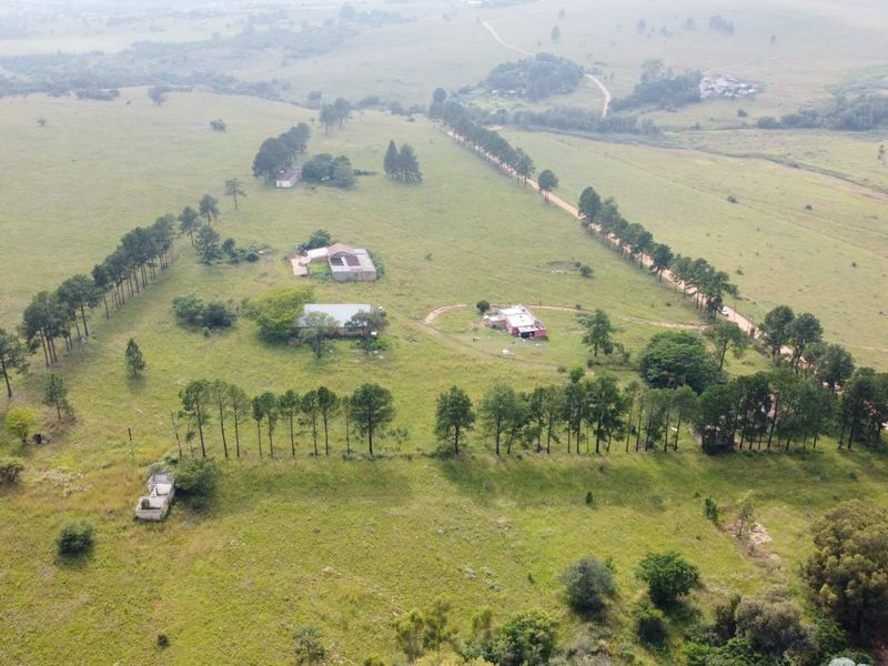 This Beautiful Stand/Farm is situated in the Heart of The Cradle of Humankind. - Photo 2