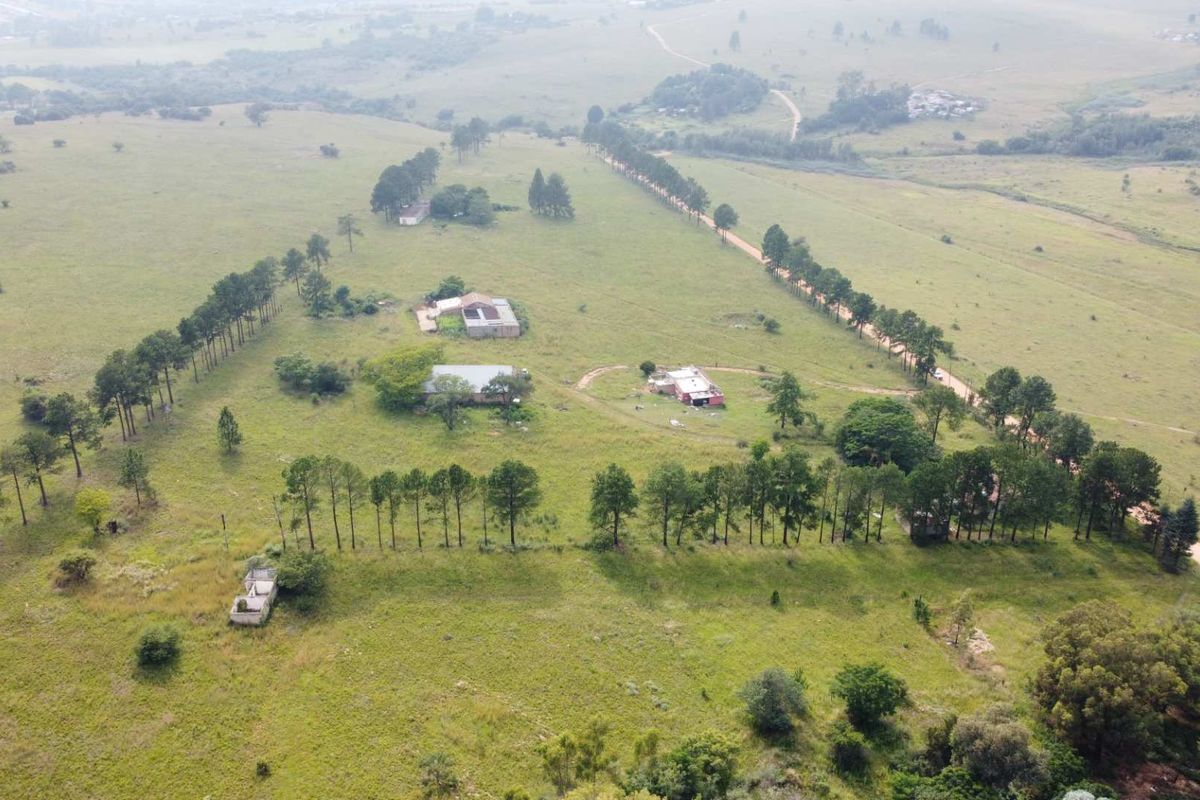 This Beautiful Stand/Farm is situated in the Heart of The Cradle of Humankind. - Photo 2