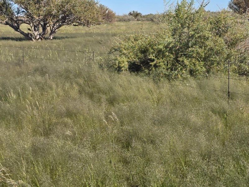 Beautiful Farm in The South Of Namibia For Sale - Photo 3