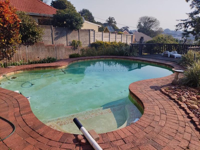 Outdoor swimming pool area featuring brick paving, timber decking, and a boundary wall, requiring maintenance to improve water clarity and pool surface condition.
