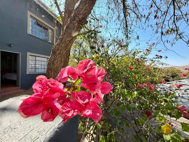A view of the rear exterior of the house featuring painted walls, casement windows, and a garden area with bougainvillea.
