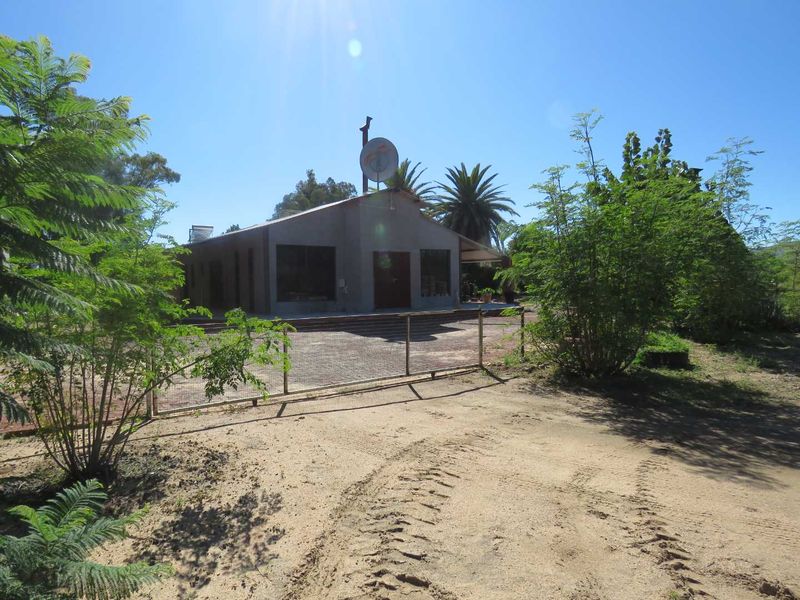 Farm & Thrive: 24,6739 Hectare Opportunity - Photo 6