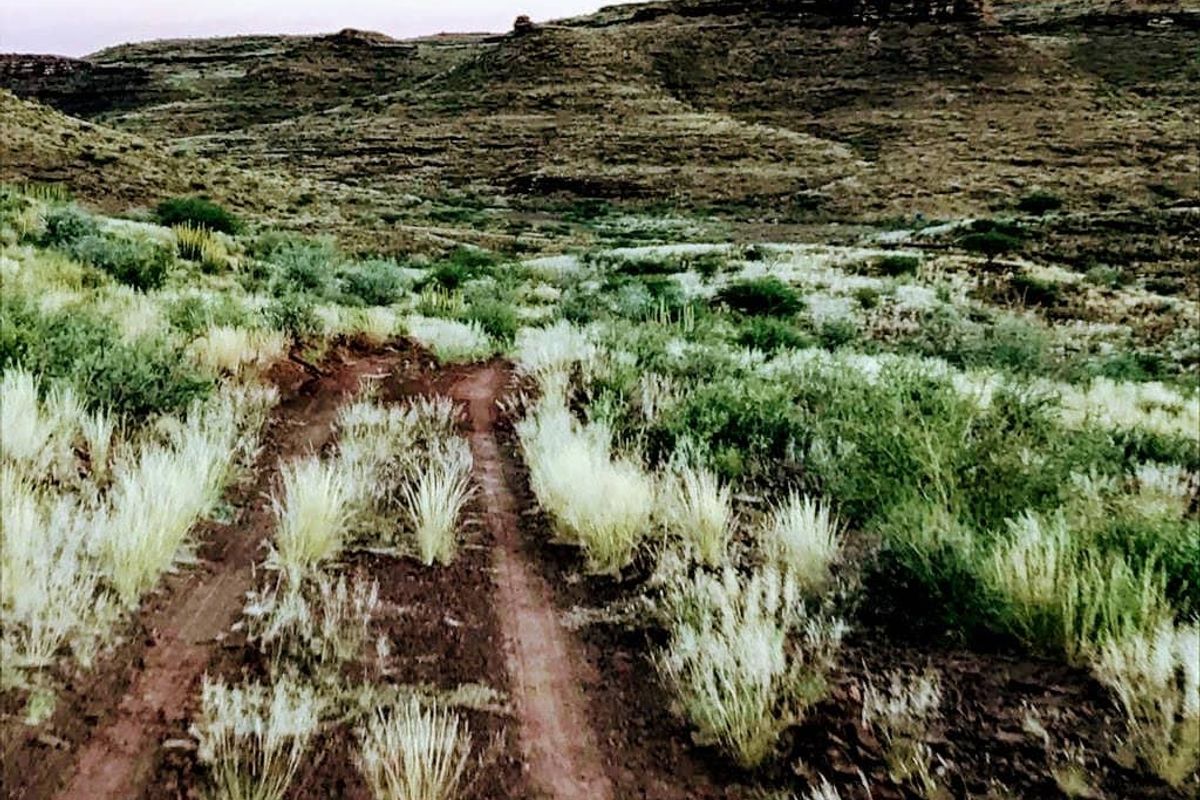 Exceptional farming opportunity just 75 km Southeast of Keetmanshoop! - Photo 3