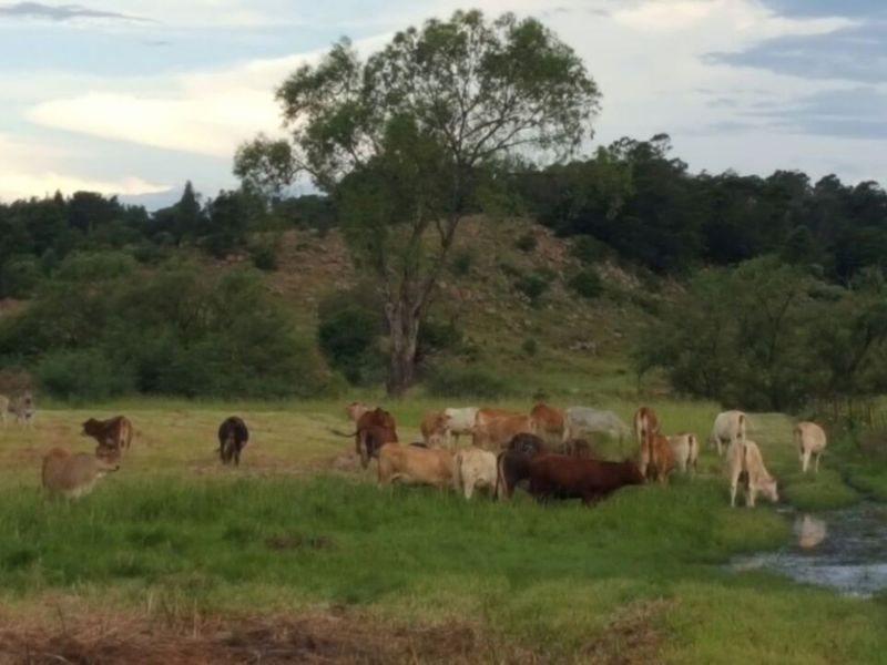 Farm for Sale - Photo 8