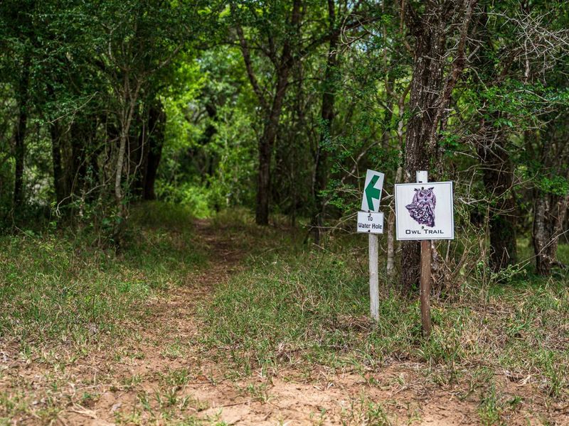 A natural woodland trail featuring directional signage for the Owl Trail and Water Hole, set within a mature, tree-lined landscape.