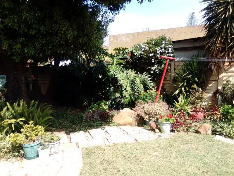 A private garden area featuring established greenery, stone paving, and a fixed rotary clothesline against a boundary wall.