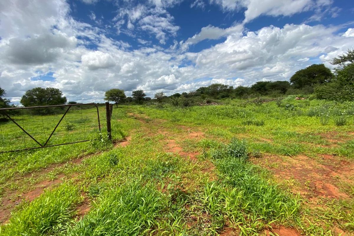 An exceptional opportunity to own a 1260 hectare game farm in the sought-after Hochfeld area – perfect for hunting, eco-tourism, or a private getaway. - Photo 4