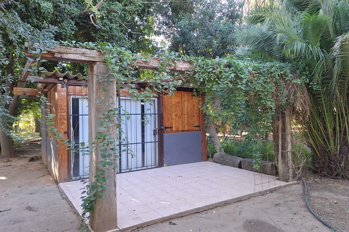 REDUCED! TRANQUIL LIVING - ADDO - Photo 5