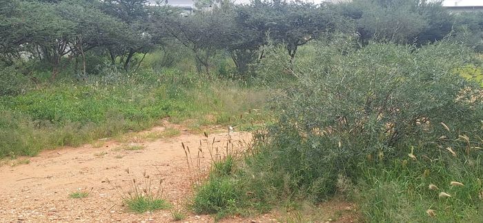 Property #2434056, Vacant Land Commercial For Sale in Ondangwa Central