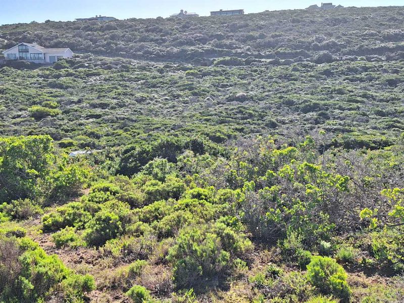 Build Your Dream Coastal Home: Vacant Lermans Village!" Land in Moquini for sale - Photo 9