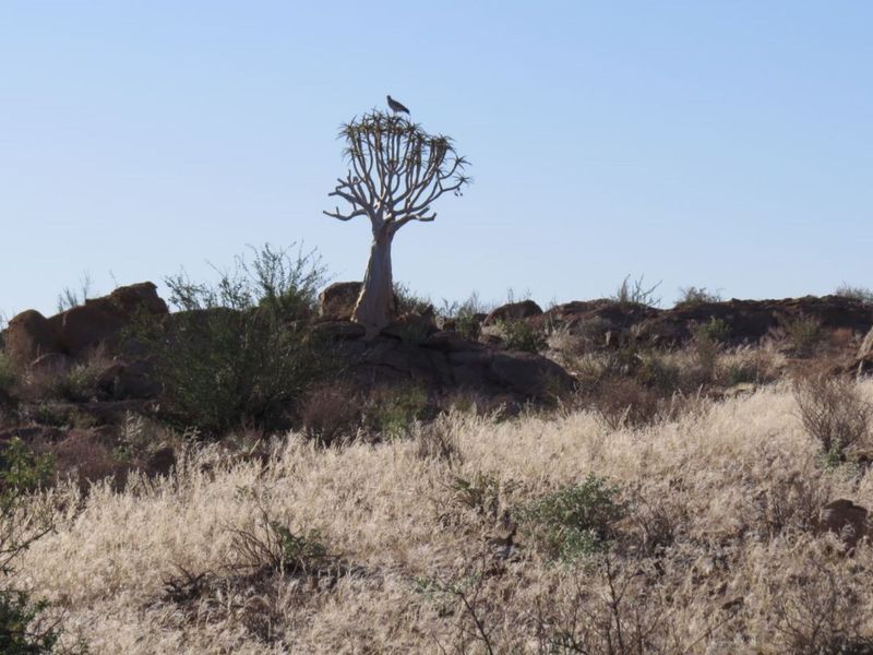 FOR SALE : FULLY EQUIPPED 27,000 HA FARM WITH BOREHOLES, DAMS & WILDLIFE - Photo 2