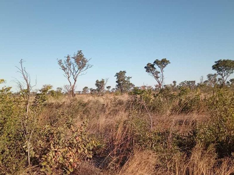 Unlock the Wild – Live the Farm Life! - Photo 8