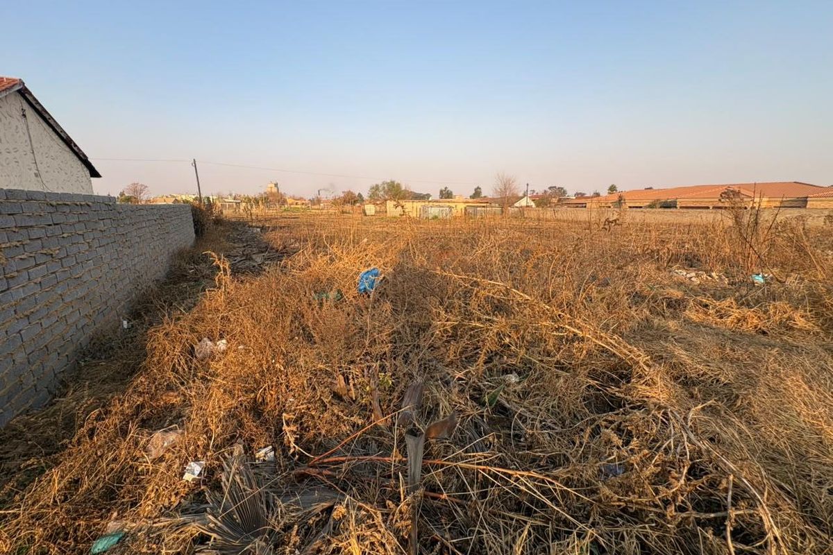A view of a vacant residential plot featuring dry, overgrown vegetation and a side boundary wall.