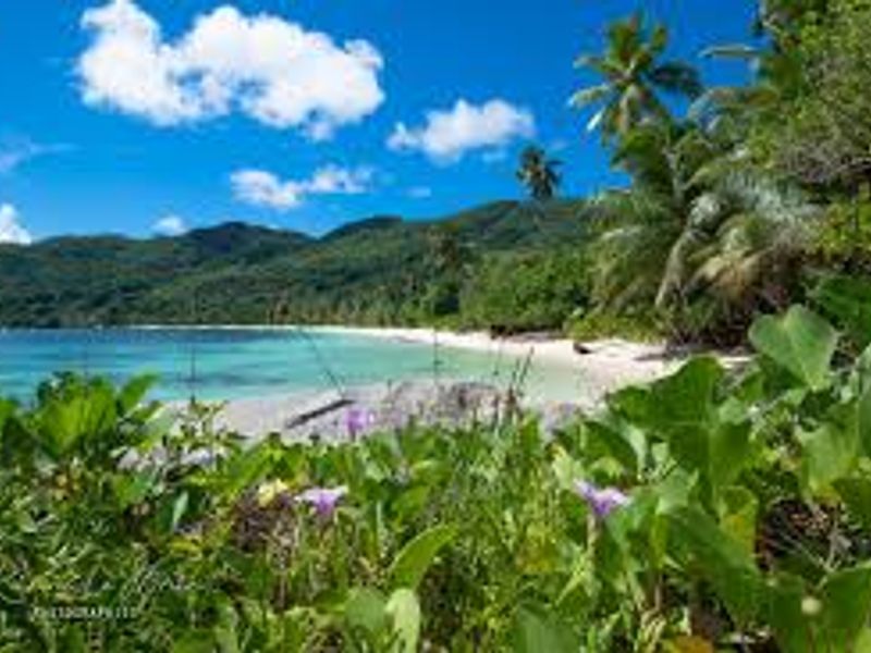 APPROVED RESIDENTIAL DEVELOPMENT OPPORTUNITY PRASLIN - Photo 7