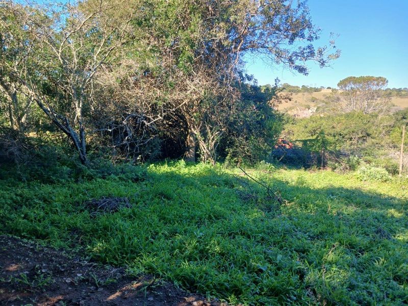 Your Quiet Corner of Bathurst, where Farmland Meets Freedom. - Photo 3