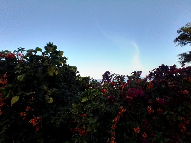 Breathtaking Sea view/Newly Makeover Apartment for Rent - Photo 3