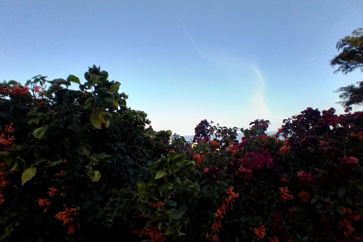 Breathtaking Sea view/Newly Makeover Apartment for Rent - Photo 3