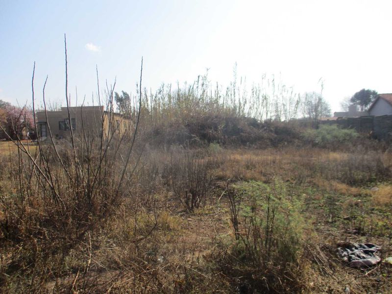 A view of an undeveloped residential plot featuring overgrown vegetation and dry grass, ready for potential clearing and future construction.