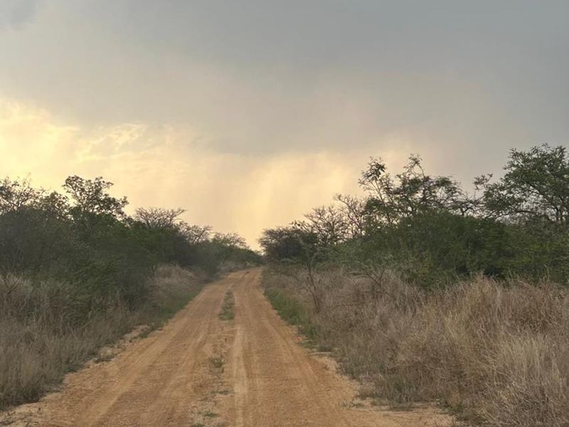 Prime Opportunity for Cash Buyers: Secure This Expansive Grazing Farm Property Today! - Photo 3