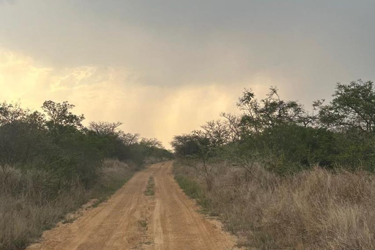 Prime Opportunity for Cash Buyers: Secure This Expansive Grazing Farm Property Today! - Photo 3