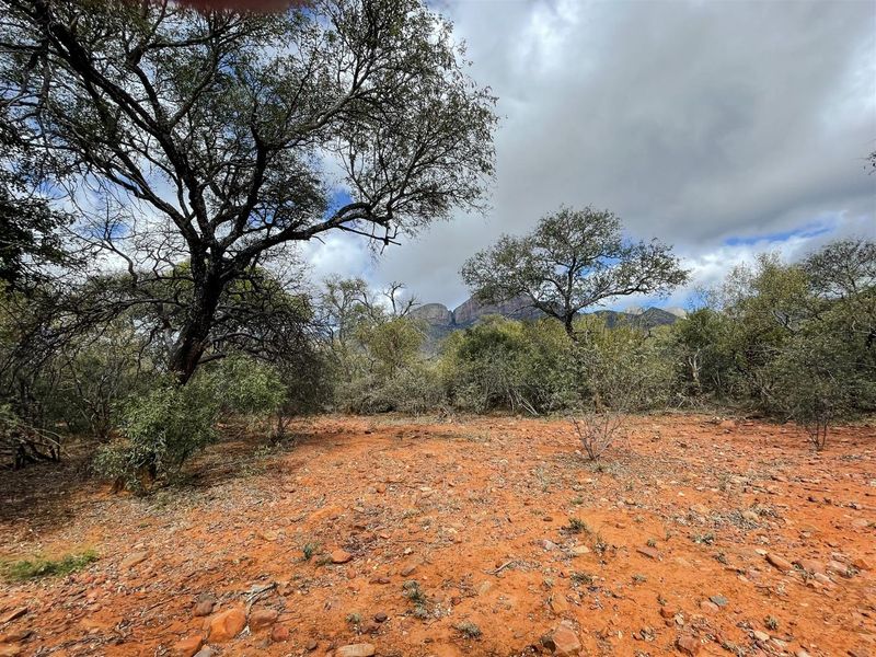 Prime 1-Hectare Stand for Sale in Canyon Game Reserve - Photo 10