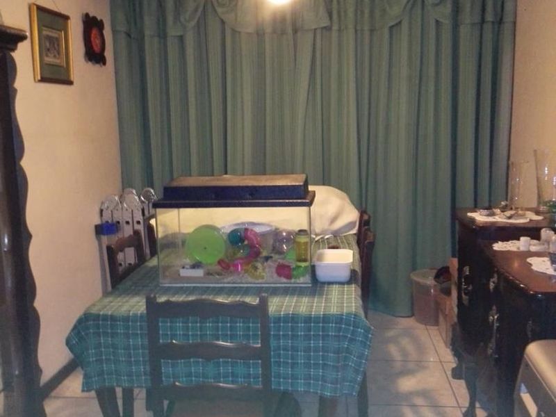 3 Bedroom Duplex For Sale in Windsor East - Photo 10