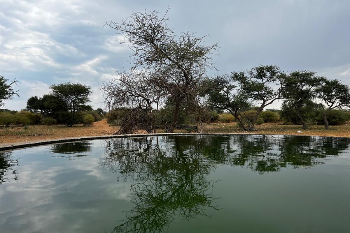 Looking to invest in your own piece of Namibian farmland? This incredible opportunity offers space, structure, and serious farming potential. - Photo 4