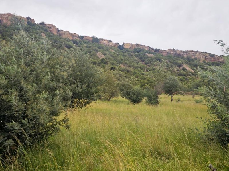 **Prime Vacant Land Opportunity at the Mountain's Edge** - Photo 3