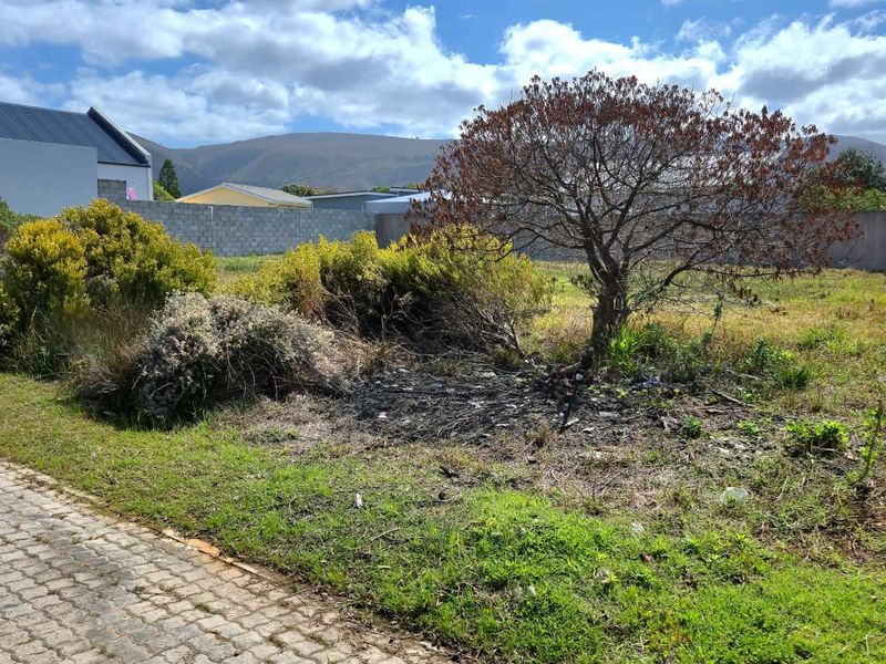 Prime Vacant Land in Franschekraal Villa Estate: Build Your Coastal Retreat Steps from the Beach - Photo 8