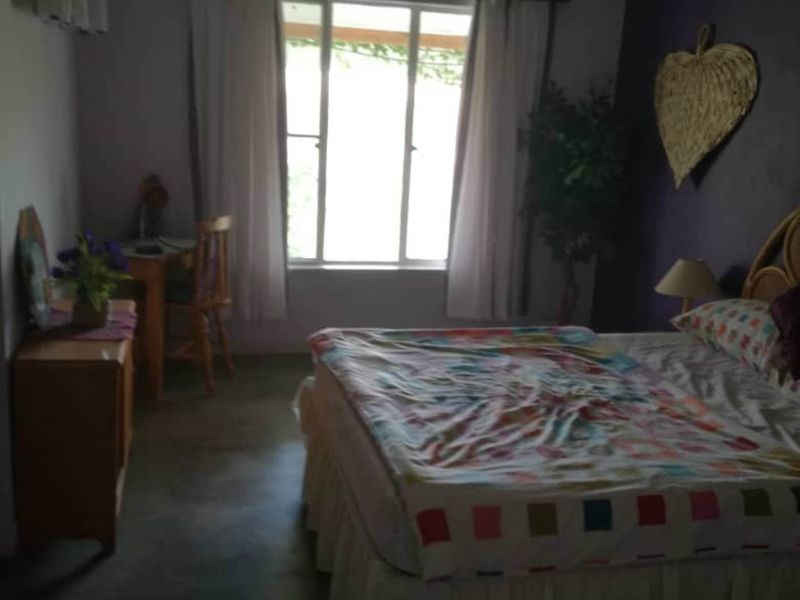 FOR SALE- FARM IN WILHELMSDAL, NAMIBIA - !!️PRICE REDUCTION FROM N$ 30,000,000 TO  N$ 23,415,000!!️ - Photo 9