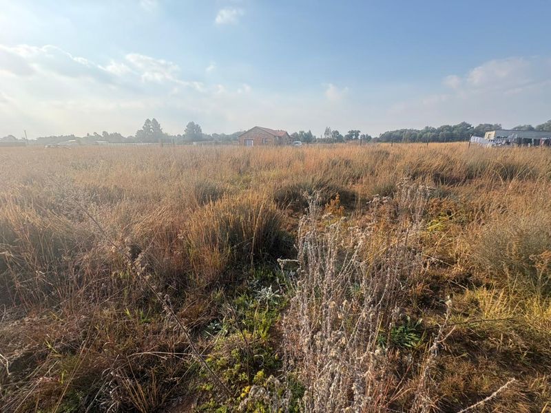 Vacant Land with Endless Potential - Photo 8