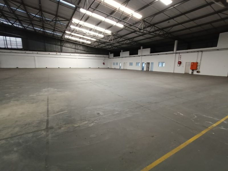 2875m2 - Warehouse, Yard 744m2 - Photo 3