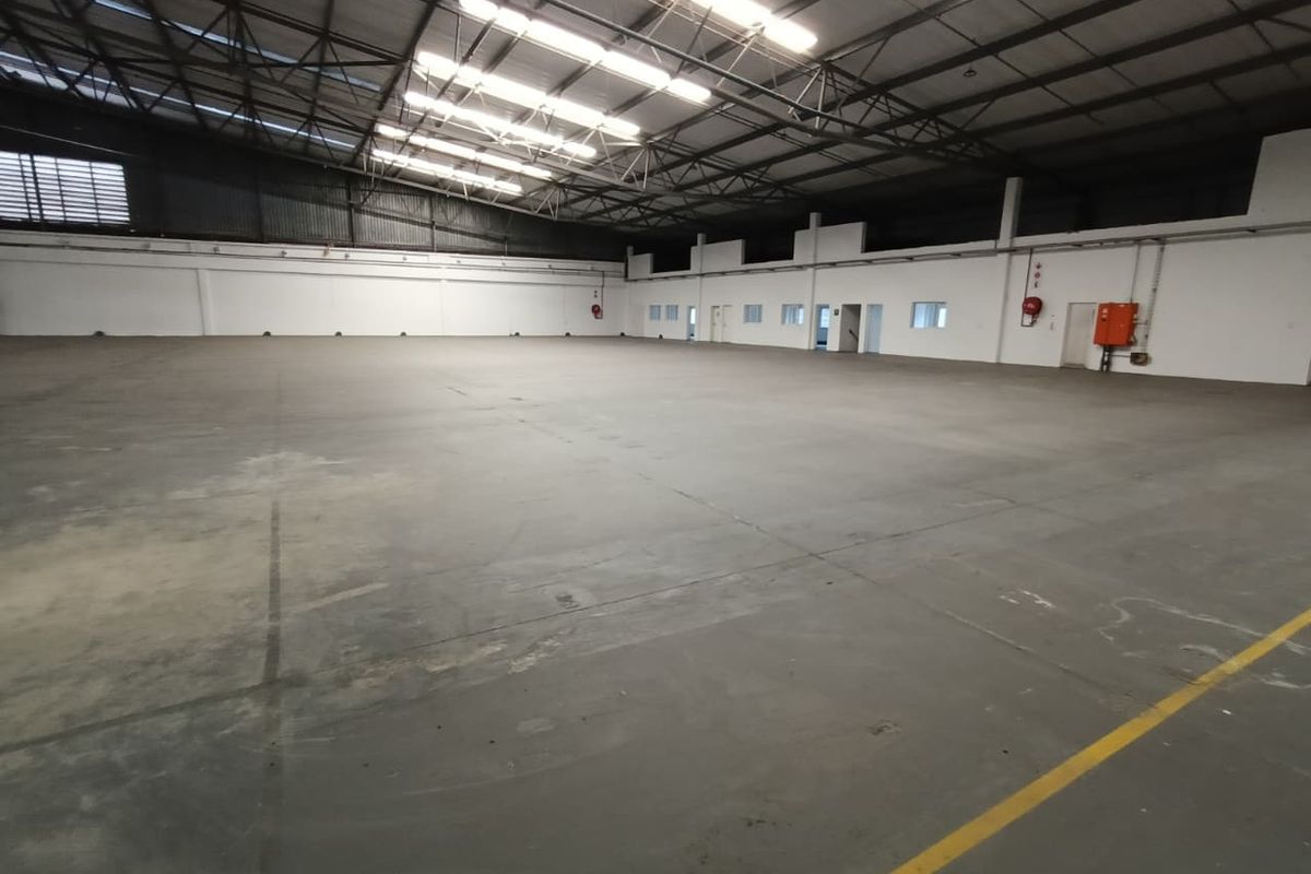 2875m2 - Warehouse, Yard 744m2 - Photo 3