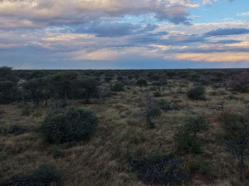A scenic view of the expansive natural landscape and indigenous vegetation characteristic of the small holding property.