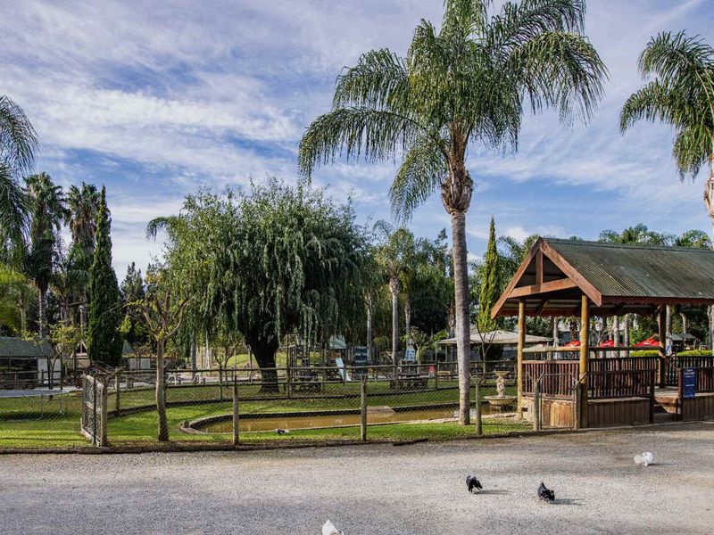 Nature Lovers paradise in the heart of the Boland - Photo 7