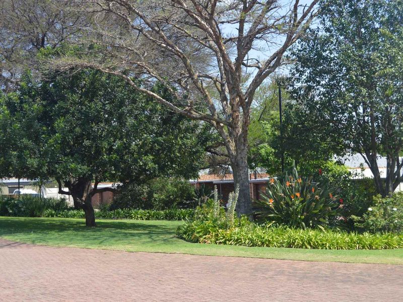 A well-maintained garden area featuring mature trees, established landscaping, and a paved driveway leading towards the townhouse property.